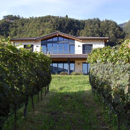 מילאנו B&B Il Vigneto מראה חיצוני תמונה
