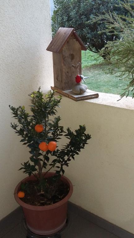 מילאנו B&B Il Vigneto מראה חיצוני תמונה